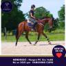 5 ans env 1m68 magnifique et top mental