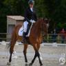Cheval de sport pour CCE AMAT 1 / Elite 