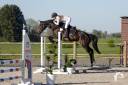Top jument pour s&rsquo;&eacute;clater au concours!