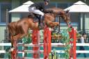 Jument selle fran&ccedil;ais 6ans CSO CCE Hunter 