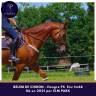 5 ans env 1m66 mental en or