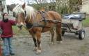 Voiture attelage 2 roues