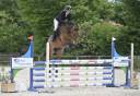 Hongre 5ans CSO amateur &eacute;lite 