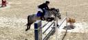 Hongre 9 ans - CSO AS