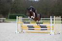  Jument CSO 10 ans &ndash; Zangersheide 