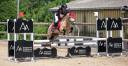 A vendre Poney B - PFS - CSO