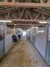 B&acirc;timent agricole sur 1.2ha -Ecuries aux portes de B&eacute;ziers
