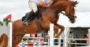 Hongre selle fran&ccedil;ais CSO 8ans gros potentiel