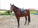 TAZ - 5ans - 1m68