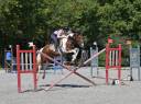 Jument Zangersheide CSO 5ans