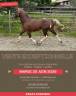 VENTE EXCEPTIONNELLE
