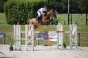 JEXICA DU PARC TOP 7  SELLE FRANCAIS MARE SCOPE 145 150