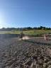 Pension compl&egrave;te chevaux &ndash; LD Buddy Ranch