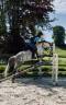 Poney fran&ccedil;ais de selle PP