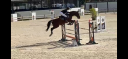 Cherche stagiaire Galop 7
