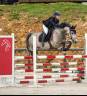 Top Poney de sport pour cso AS2/AS1