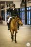 Excellent Poney de Grand prix &agrave; vendre 