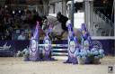JUMENT DE 6 ANS PAR QUILVARO DE LYR