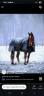 Franche montagne 5 ans 