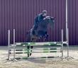 Superbe jument, BWP, 8 ans, +- 1m64