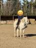 &Agrave; VENDRE : Hawa&iuml; du Peticlaux