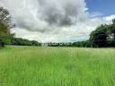 Terrain &agrave; vendre dans la For&ecirc;t de Broc&eacute;liande