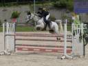 Poney de Sport - &eacute;preuves AS    20 000&euro;