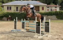 Jument AES Anglo European Studbook A vendre 2015 Bai par Sea Coast Don't Touch Tiji Hero