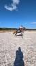 Ponette C top mental, bonnes origines