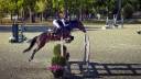 JHONNY DU THAR &ndash; Hongre SF &ndash; 7 ans &ndash; 1,73 m