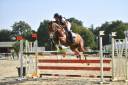 Cavali&egrave;re maison/concours, groom