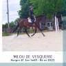Top 4 ans SF Env 1m69 CSO cheval d'avenir