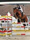 Jument KWPN 6 ans x-rays RAS prospect Am1/Elite/Hunter
