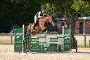 Jument KWPN 6 ans x-rays RAS prospect Am1/Elite/Hunter