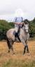 Superbe jument 4 ans par chacco white