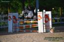 Hongre PFS Poney Fran&ccedil;ais de Selle A vendre 2008 Tobiano