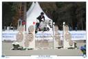 Top poney d&rsquo;avenir 