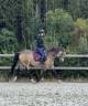 Tr&egrave;s jolie ponette de 11 ans - 146cm