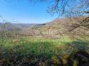 Ensemble de parcelles en diverses nature sur 16 ha 50