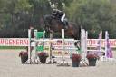 Top cheval amateur 