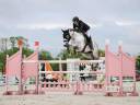 Cassalo &ndash; Hongre de 11 ans &ndash; 1m68