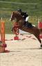 Ponette de Sport 12ans