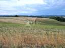 Exploitation &eacute;levage et grandes cultures 120ha TARN