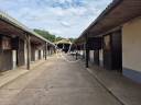 Ecurie - 32 boxes - Val-d'Oise (95)