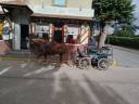Noblesse, Bretonne PP