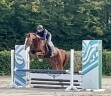 Hongre de 7 ans, +-1m65, BWP, par Nixon vh Meulenhof