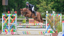 HONGRE DE 6 ANS - EXCELLENT SAUTEUR