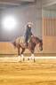 Hongre Quarter Horse PP