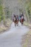 balade randonnée à cheval 