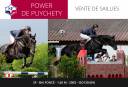 POWER DE PUYCHETY - SF 1,65m 2003 ISO139 (09)